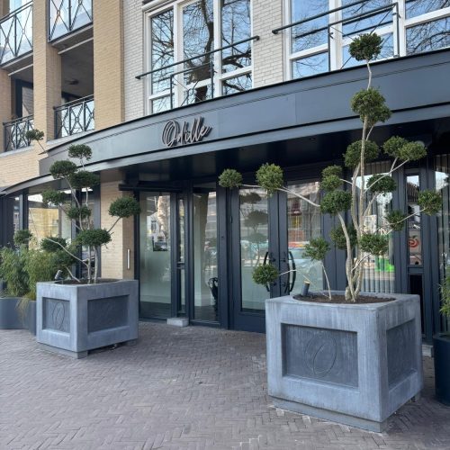 Afbeelding van WhatsApp op 2025-02-17 om 15.45.13_7ca22e2a